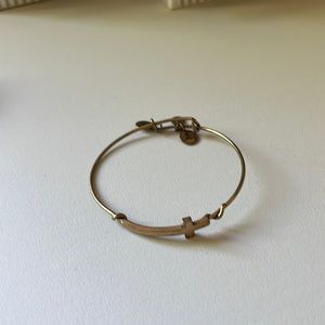 Cross Alex and ani